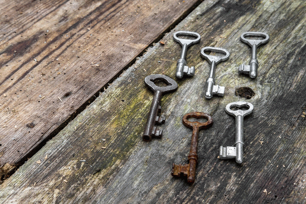 رازهای موفقیت در یوتیوب: چکیده‌ای از تجربیات نی‌نی‌سایت (۱۰ نکته خاص)